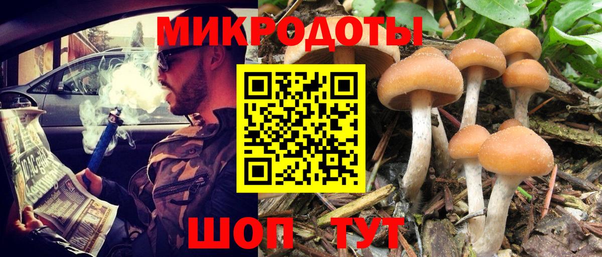 Галлюциногенные грибы Cubensis Красноярск
